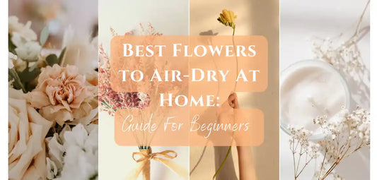 8 best flowers to dry at home for beginners free flower delivery by kxhflowers