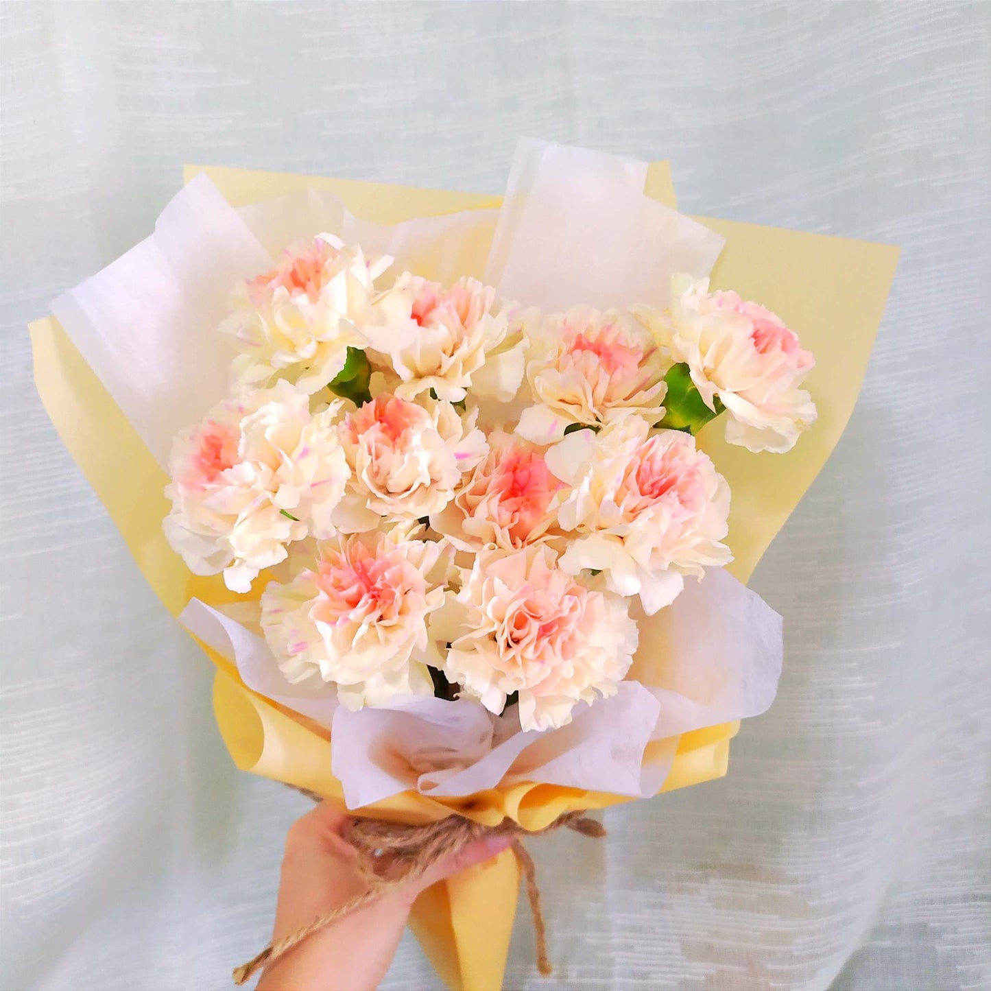 10 Champagne Carnations Bouquet singapore florist free delivery