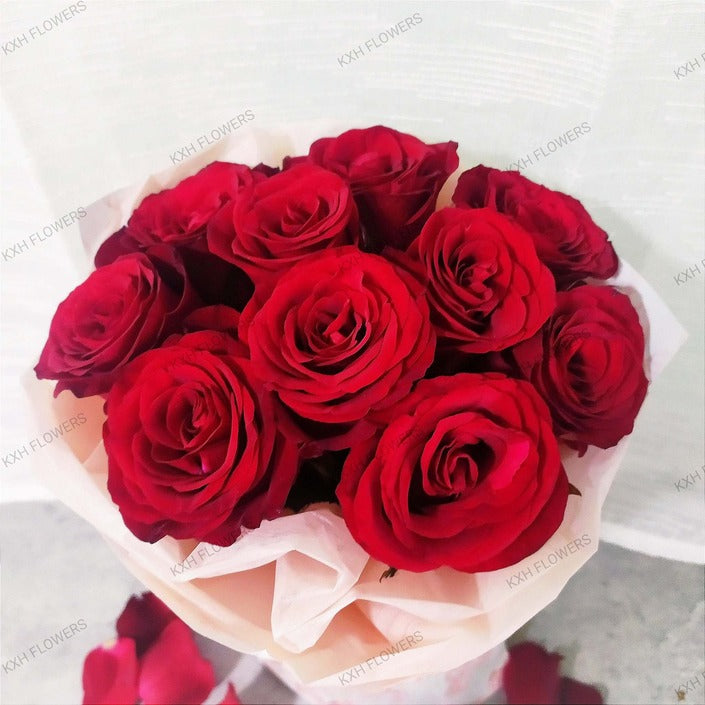 Close-up of 10 red roses bouquet