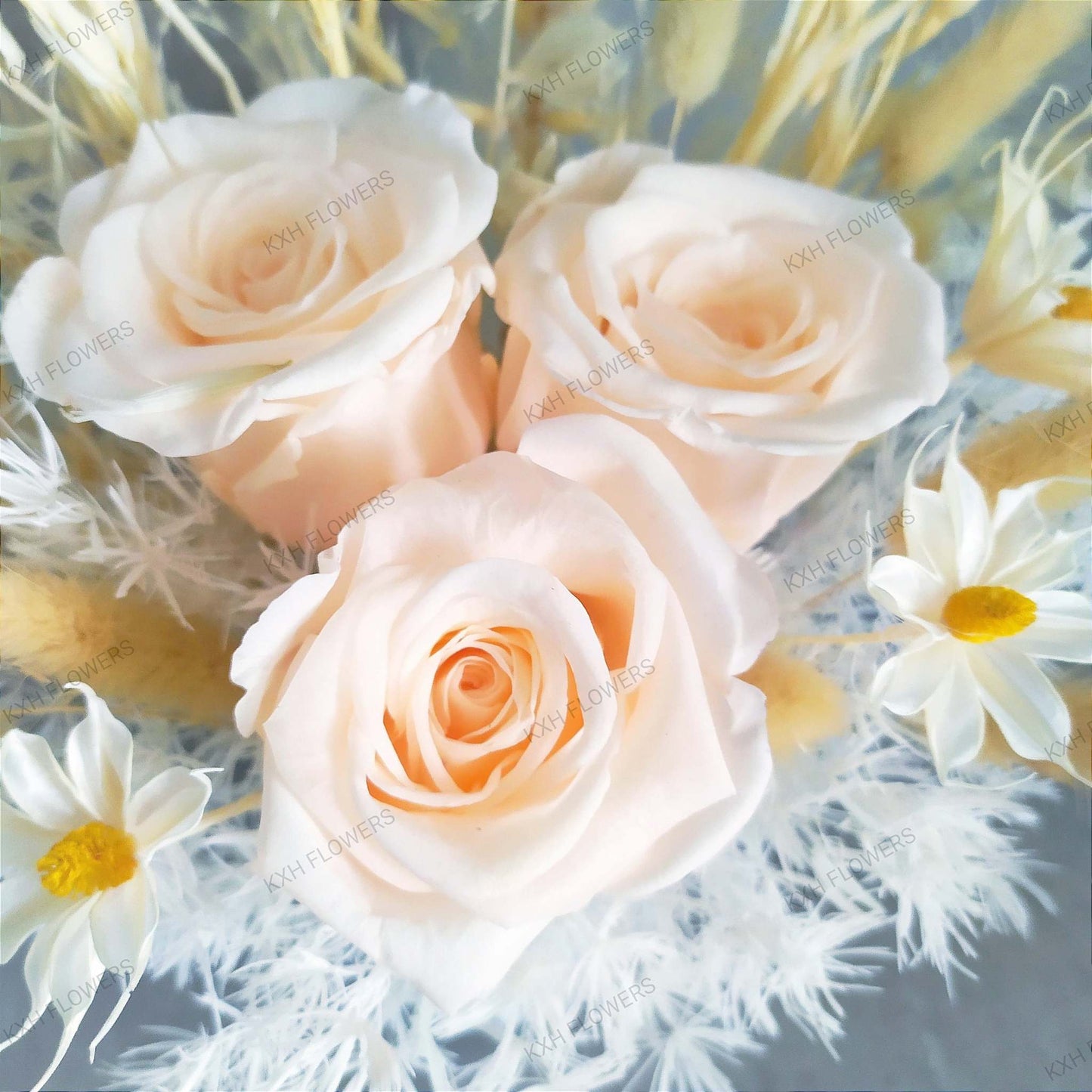 paloma Preserved Roses Flower Arrangement singapore florist free delivery