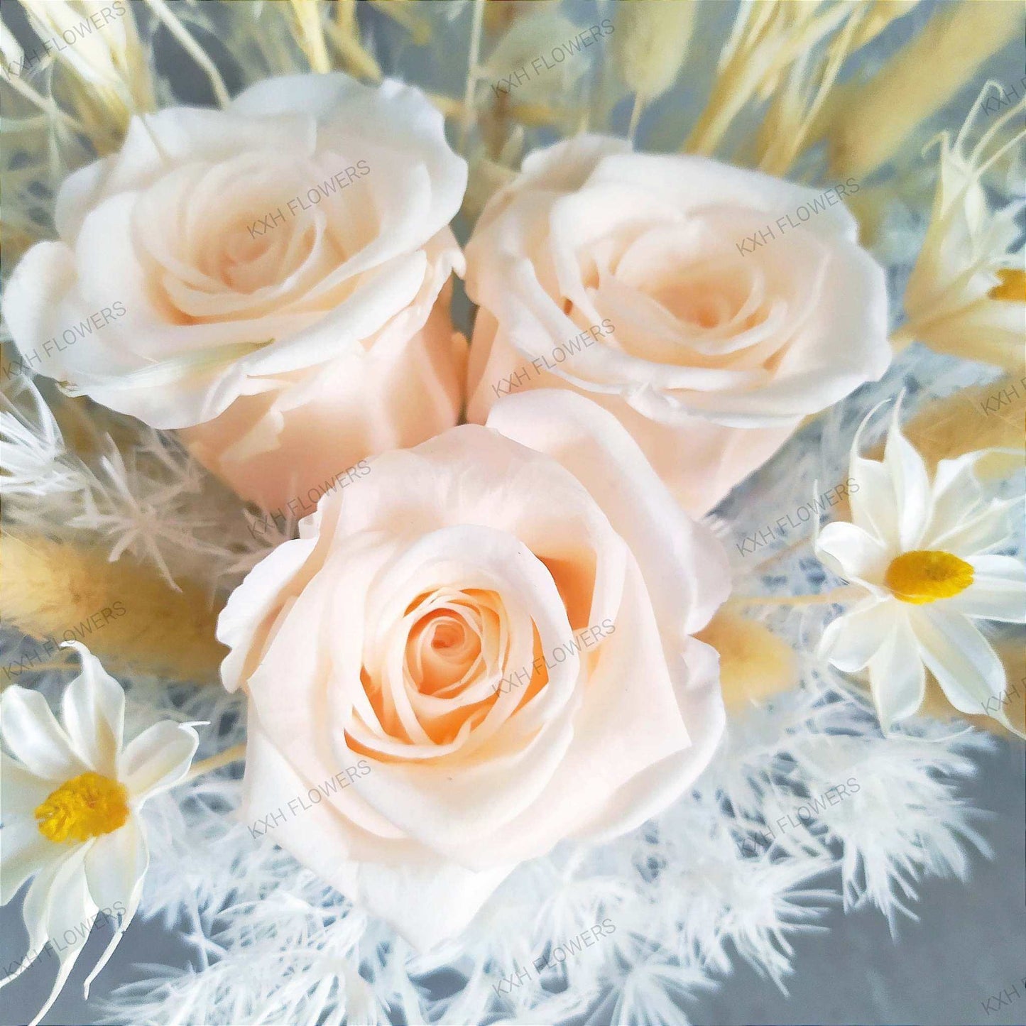 paloma Preserved Roses Flower Arrangement singapore florist