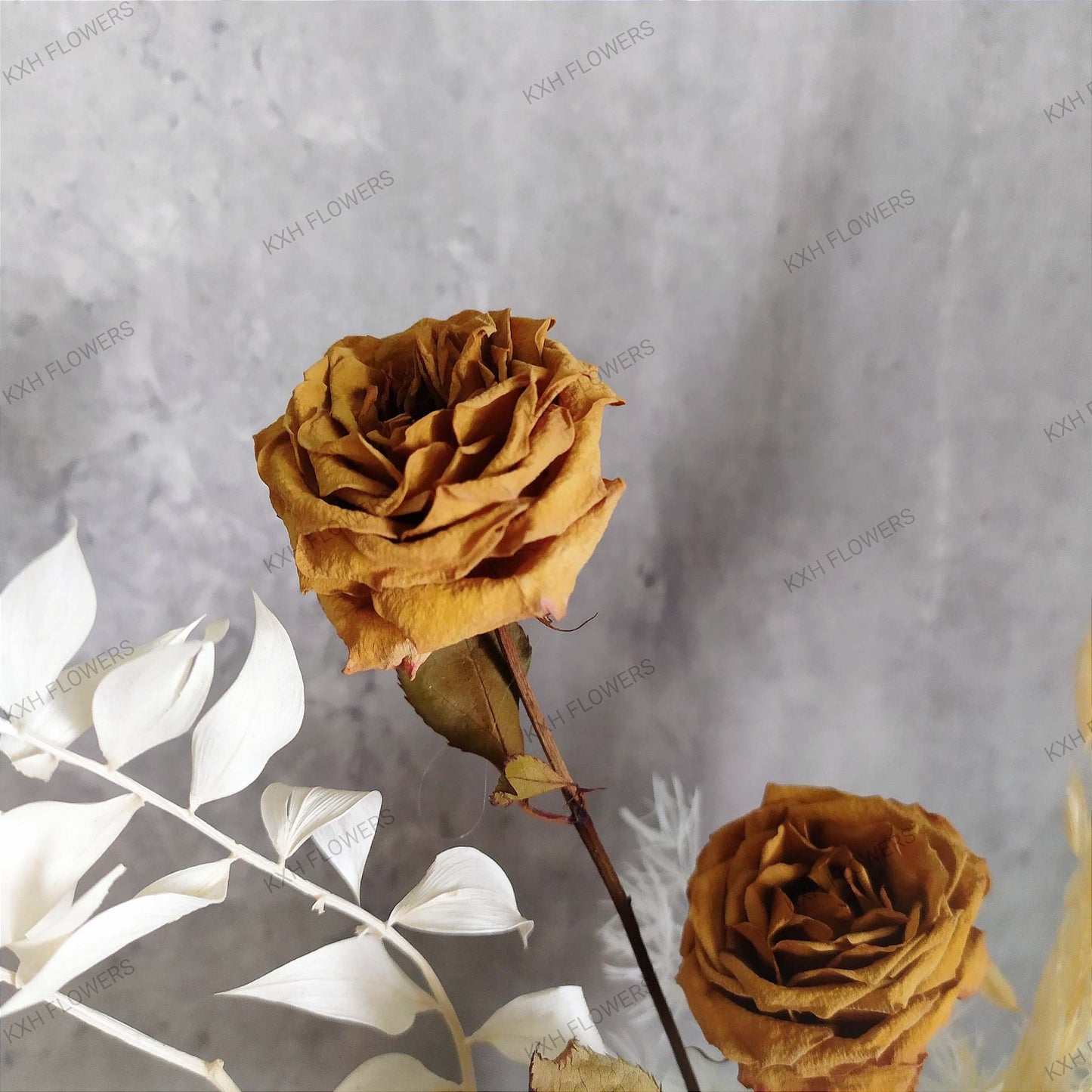 dried roses kallang florist delivery