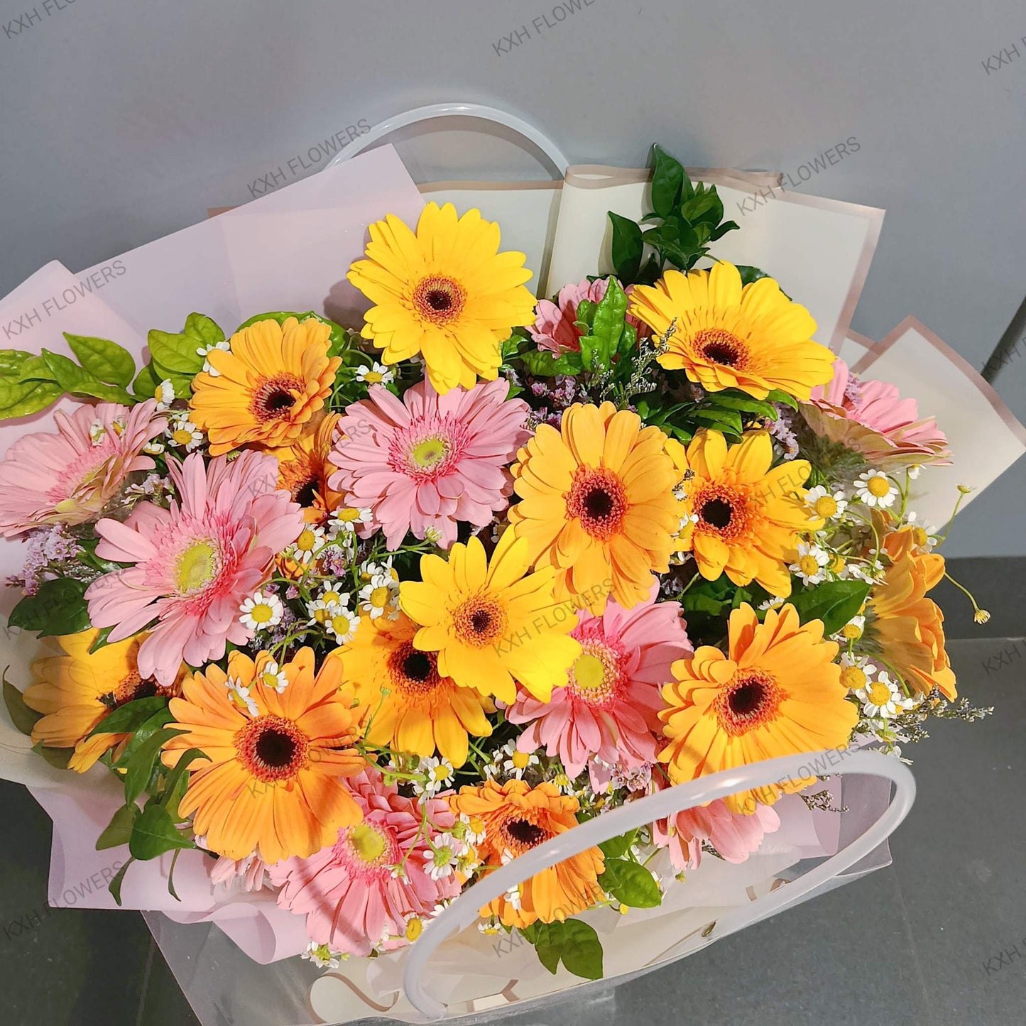 20 mixed gerberas bouquet in carrier sg online florist free delivery
