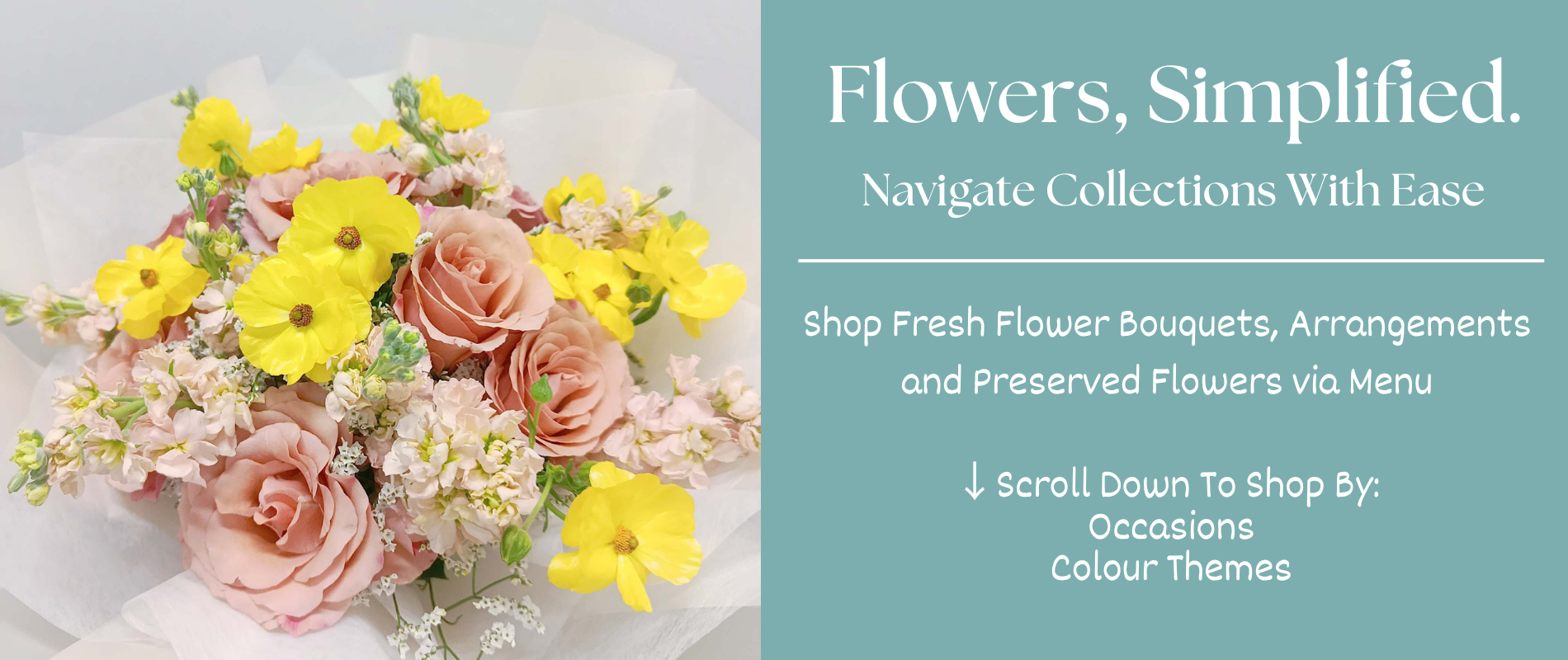 Navigate Collections With Ease desktop banner