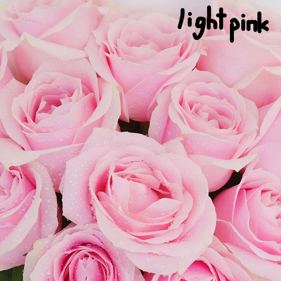 single stalk pink rose bulk order corporate gift singapore free delivery kallang florist