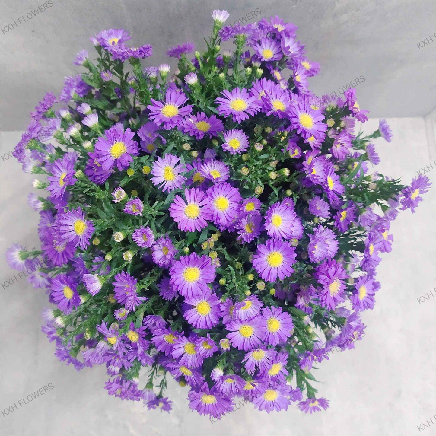 purple flowers daisies vase arrangement singapore