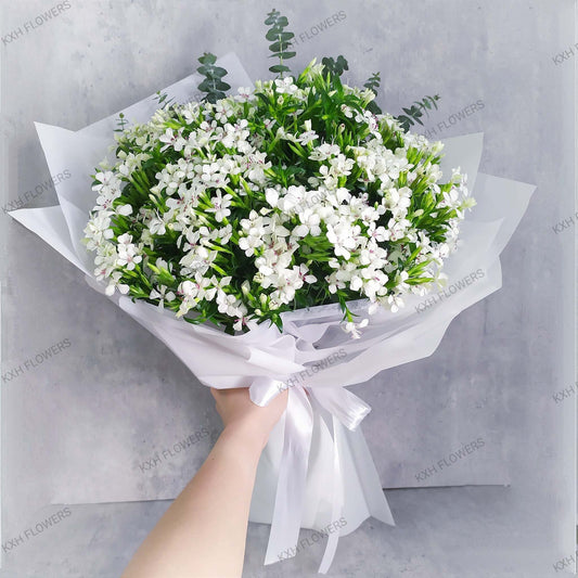 small white flowers bouquet sweet william singapore florists free delivery boon keng kallang bendemeer