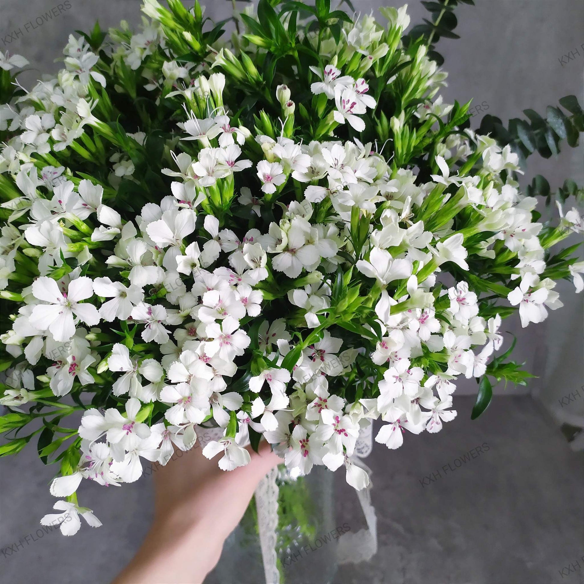 white flowers singapore kallang florist free delivery