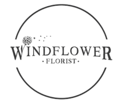 windflower