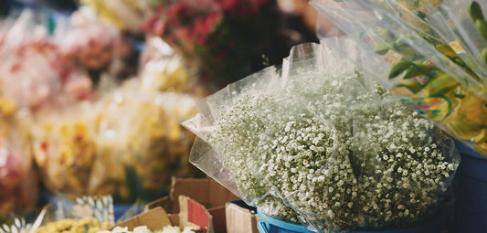 Best Smelling Flowers for a Bouquet