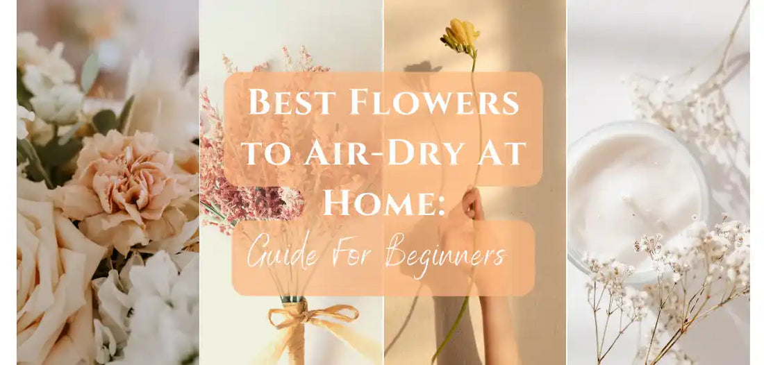 8 best flowers to dry at home for beginners free flower delivery by kxhflowers