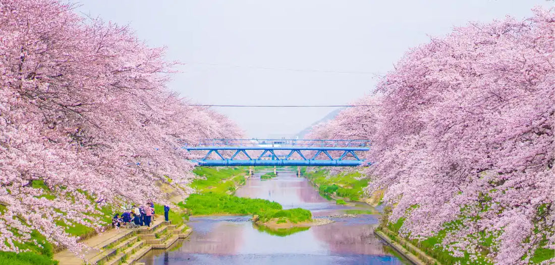 11 Best Flower Gardens and Parks in or near Central Tokyo, Japan