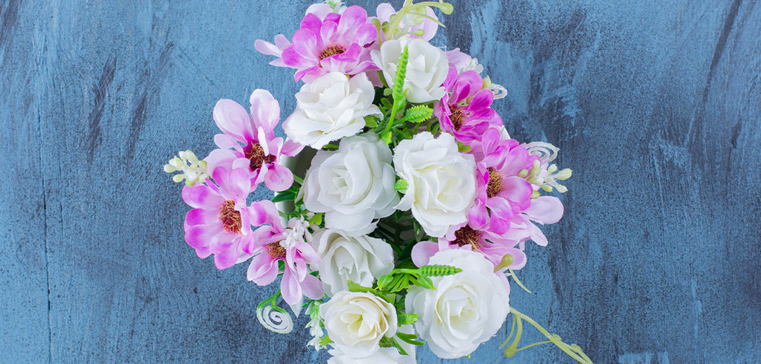 Types of Daisies Available in Singapore