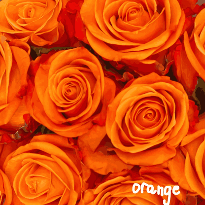 20 roses bouquet orange roses singapore online flower delivery