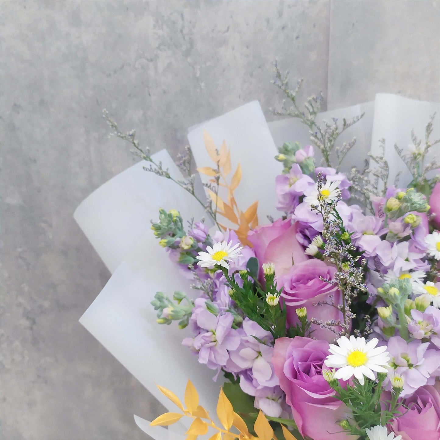 purple roses and matthiolas close up