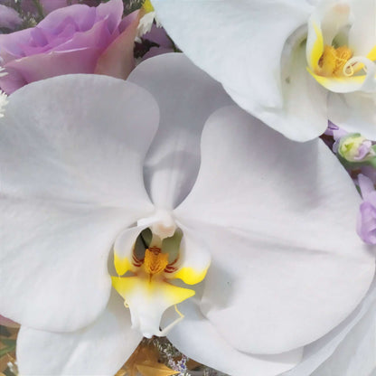 white moth orchid phalaenopsis bouquet