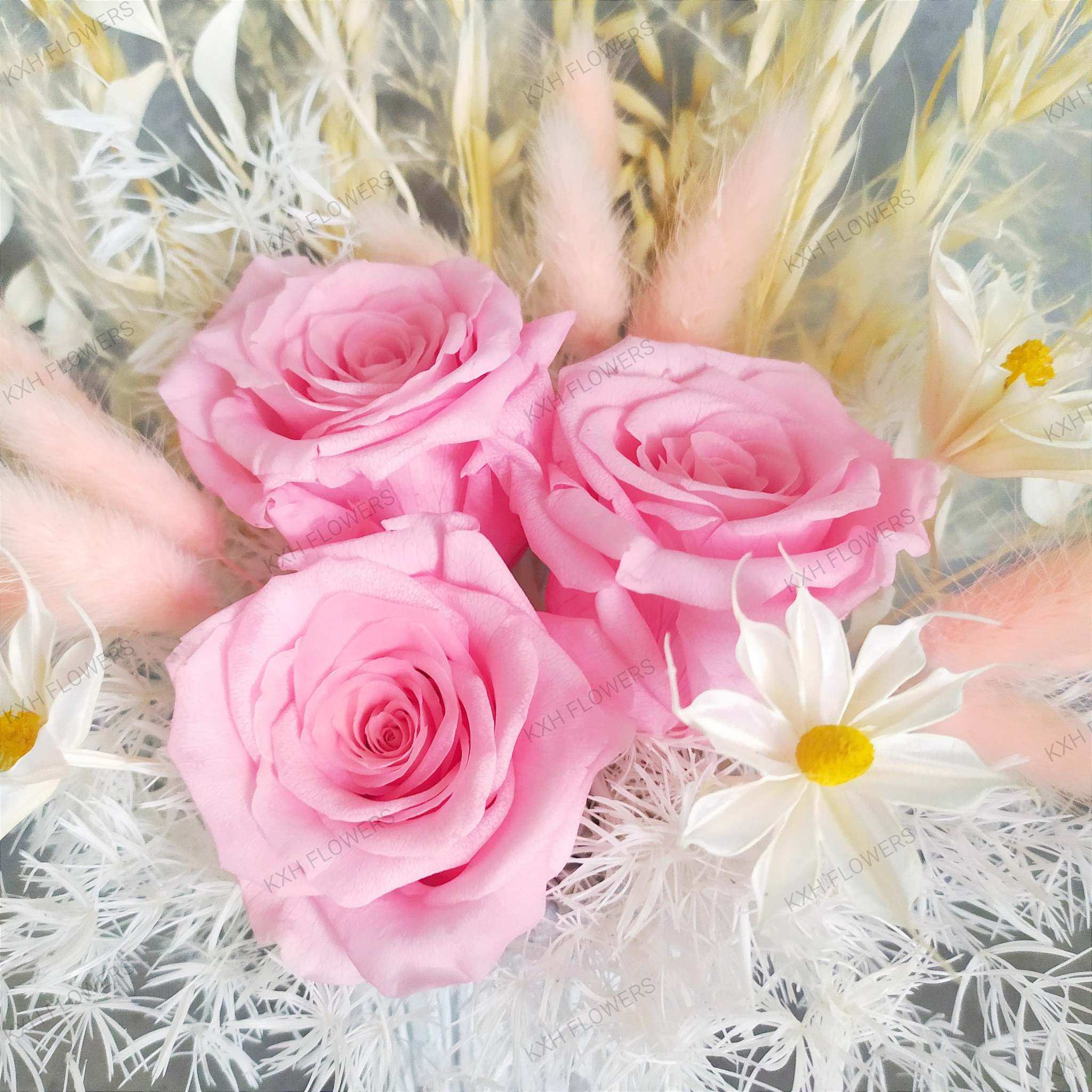 Dried Roses Preserved Roses Dried & Preserved Flowers - Free Same Day Flower Delivery Singapore ...