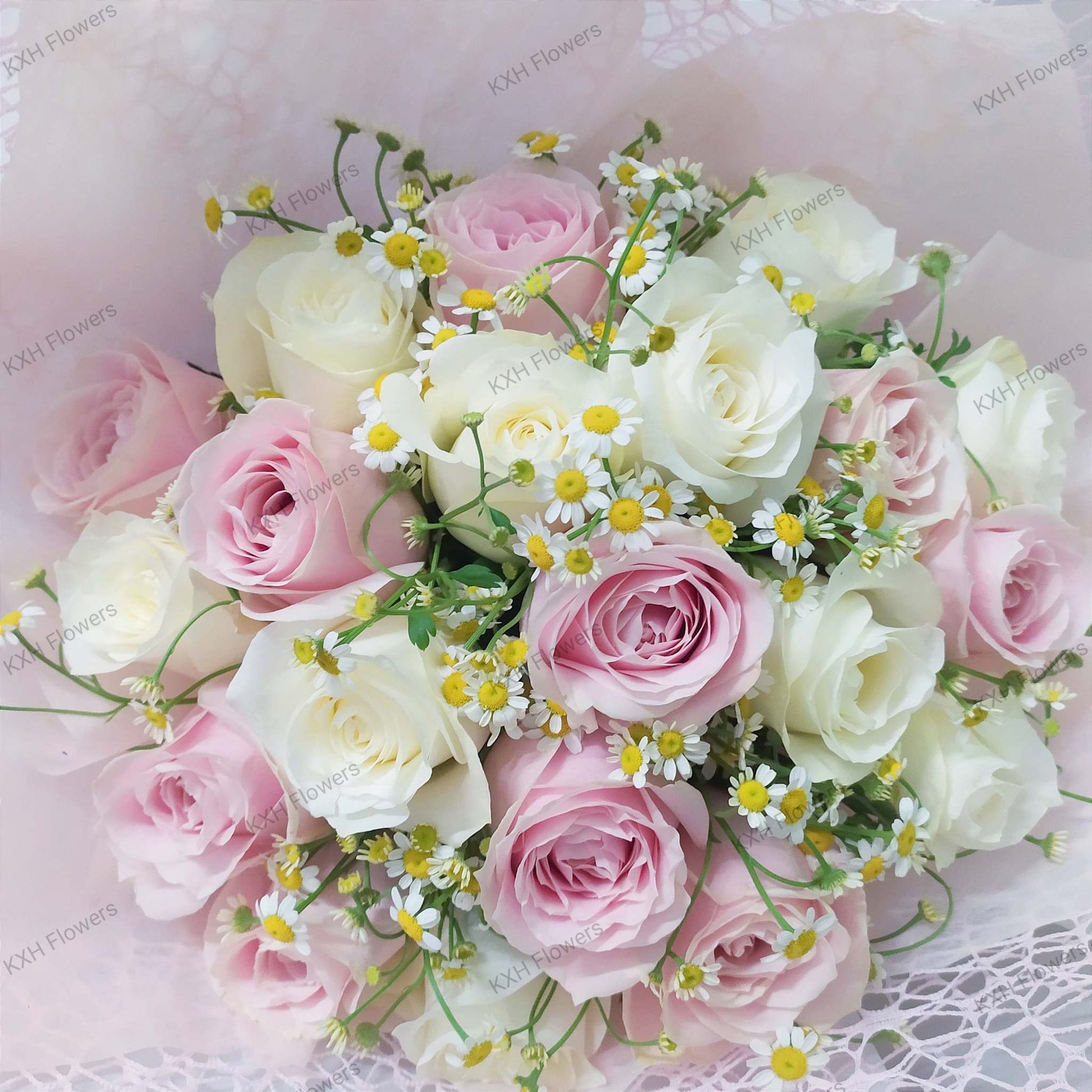 pink and white bouquet 20 fresh roses singapore