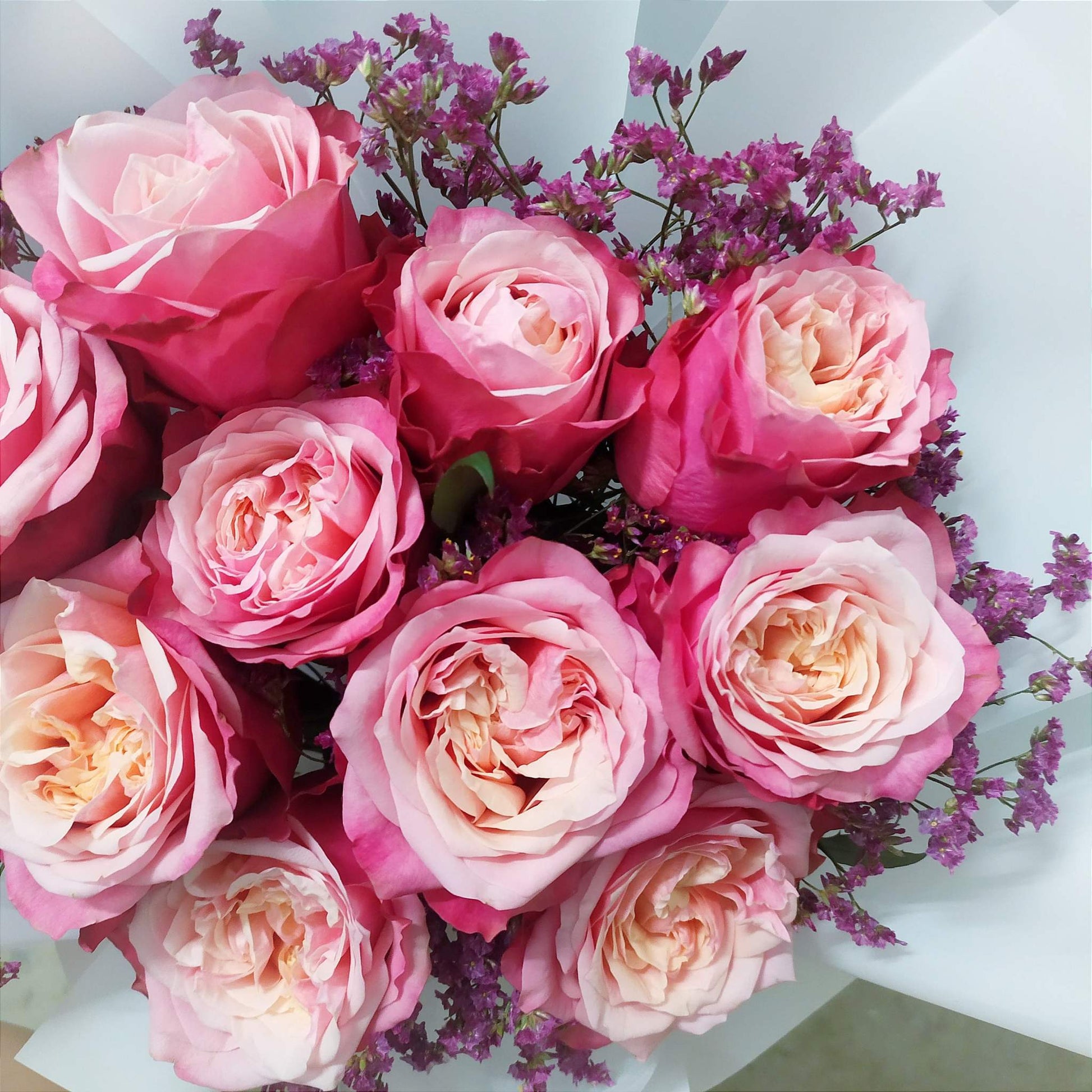 premium large size dual tone peach roses singapore delivery online flower order