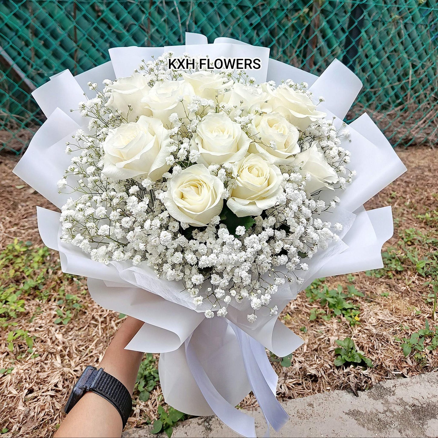 11 white roses with baby breath (gypsophilia) in white wrapping singapore flower delivery